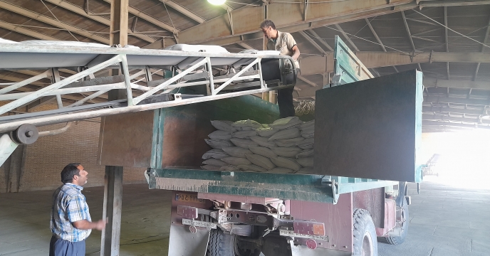 تداوم تأمین و توزیع کود کشاورزی در شهرستان تفت استان یزد تا نیمه اول آذرماه1404