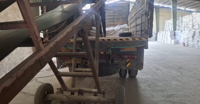 تحویل ۵۸۹ حواله کود یارانه‌ای در شهرستان کهنوج؛ حمایت مستمر از کشاورزان منطقه