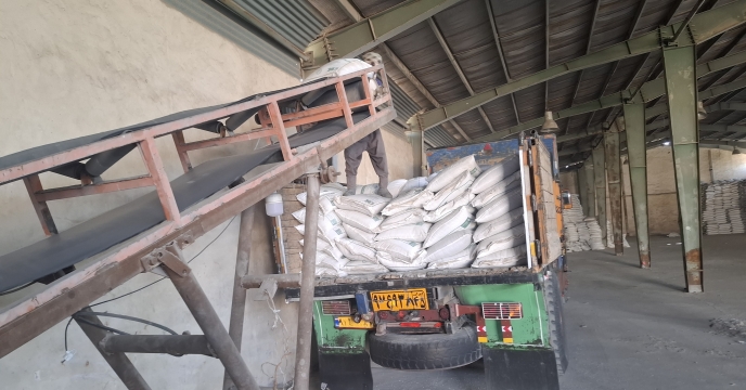 میزان 482 تن کود یارانه‌ای در جنوب کرمان تامین شد؛ حمایت از کشاورزان با سامانه هوشمند