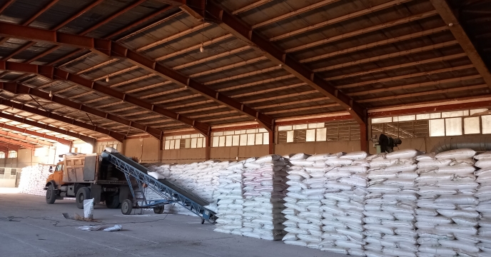 ارسال بیش از 2560 تن کود ازته به کارگزاری های شهرستان جعفرآباد استان قم از ابتدای سالجاری