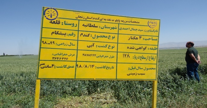 شرکت خدمات حمایتی کشاورزی استان زنجان