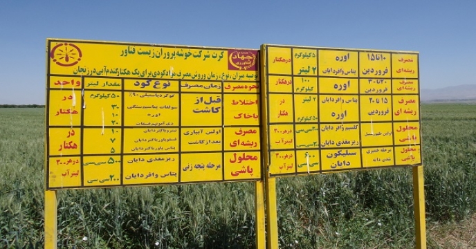 شرکت خدمات حمایتی کشاورزی استان زنجان