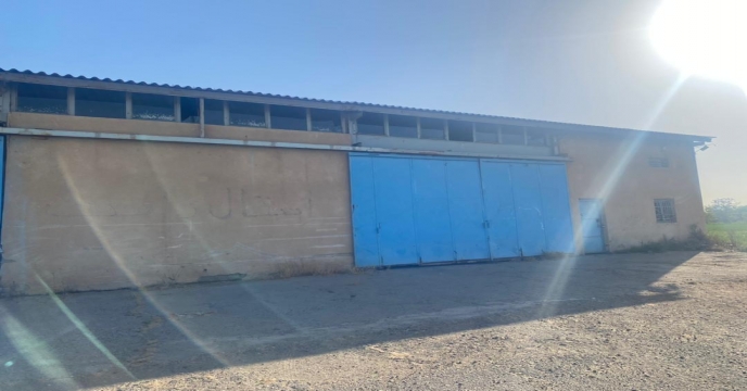 بازدید