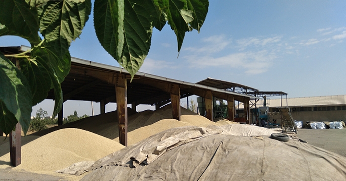 سامانه بوجاری