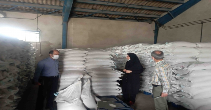 بازدید