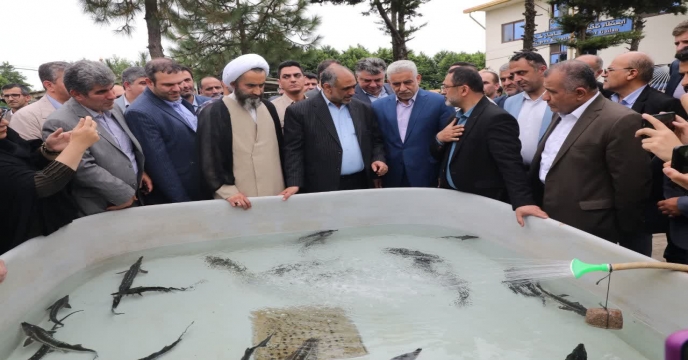 وزیر