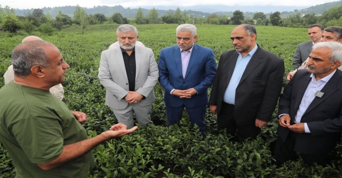 وزیر