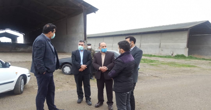 بازدید مدیر فنی و بهبود کیفیت بذر ونهال از بذرو سویای مرغوب خریداری شده مغان
