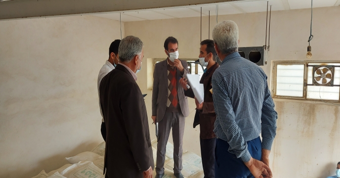آغاز عملیات انبار گردانی شرکت خدمات حمایتی کشاورزی استان بوشهر