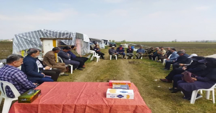 دیدار