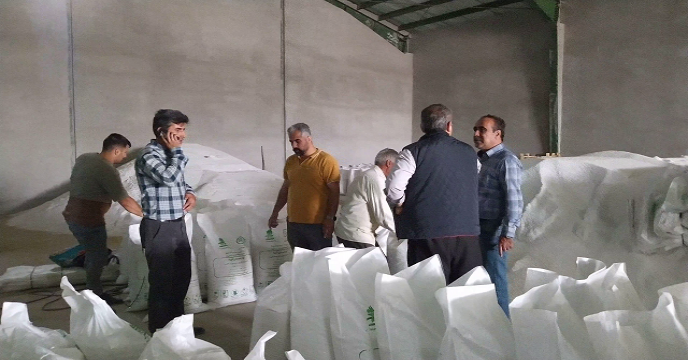  شرکت خدمات حمایتی کشاورزی 