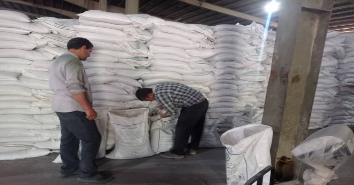 نمونه برداری از کود فسفات 13 درصد در آذربایجان غربی
