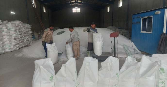 بازدید مدیرشرکت خدمات حمایتی کشاورزی استان تهران از وضعیت موجودی کود در انبارهای جنوب شرق استان تهران