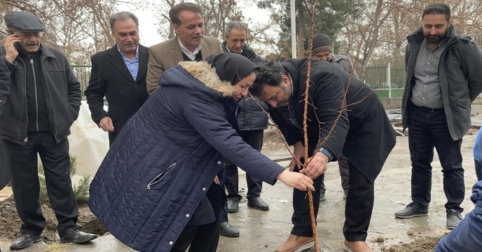 درختکاری 01
