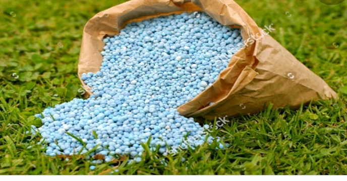 توزیع بیش از ۱۷۳ هزار تن کود شیمیایی در فارس