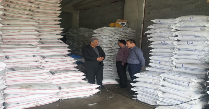 بازدید