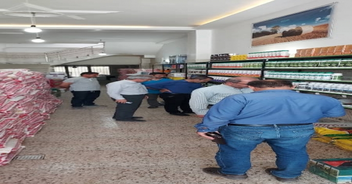 بازدید