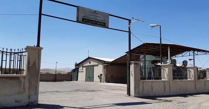 شرکت خدمات حمایتی کشاورزی استان زنجان
