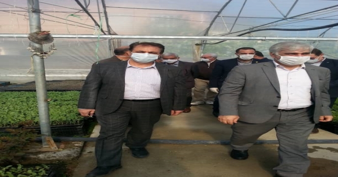 بازدید سرپرست معاونت امور زراعت و مدیر شرکت خدمات حمایتی آذربایجان غربی از سایت کشت نشایی