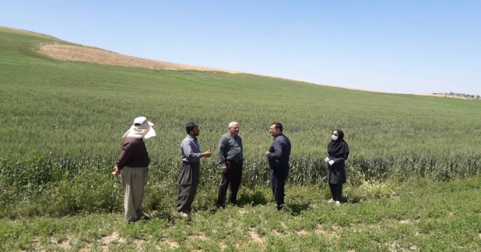 بازدید از طرح پایلوت تغذیه گیاهی در شهرستان بوکان