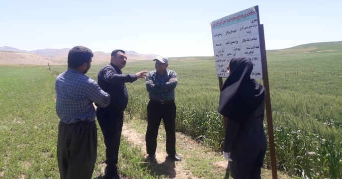 بازدید از طرح پایلوت تغذیه گیاهی در شهرستان بوکان