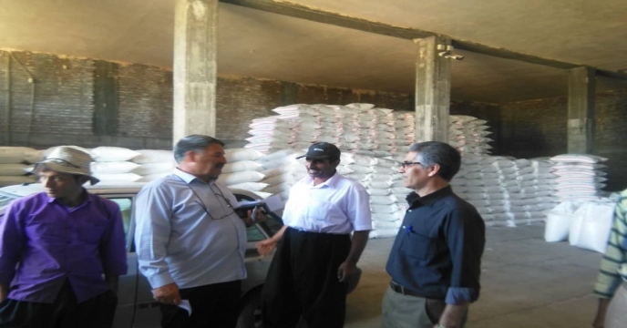 پایش کودی در شهرستان میاندوآب