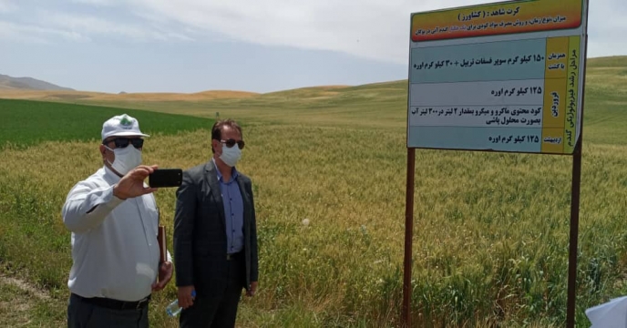 برگزاری مراسم طرح پایلوت تغذیه در استان آذربایجان غربی