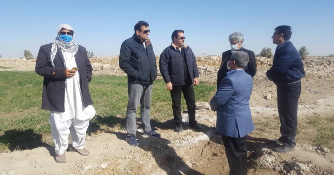 بازدید مدیر فنی و بهبود کیفیت بذر ونهال از  مزارع گندم استان سیستان و بلوچستان 