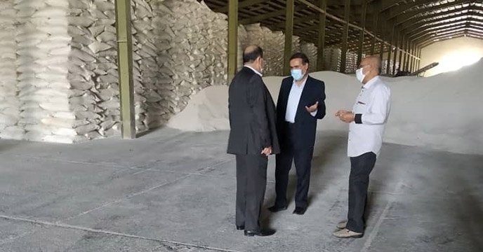 بازدید عضو هیئت مدیره و معاون توسعه مدیریت و منابع شرکت خدمات حمایتی کشاورزی از استان همدان