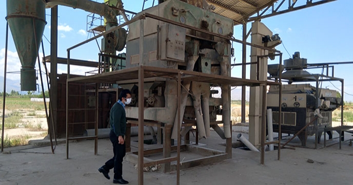 در آستانه فصل برداشت گندم و جو، بازدید مدیر شرکت خدمات حمایتی کشاورزی استان همدان از سامانه بوجاری