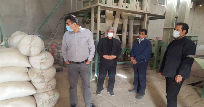 بازدید مدیر فنی و بهبود کیفیت بذر ونهال از انبار بذر استان سیستان و بلوچستان 