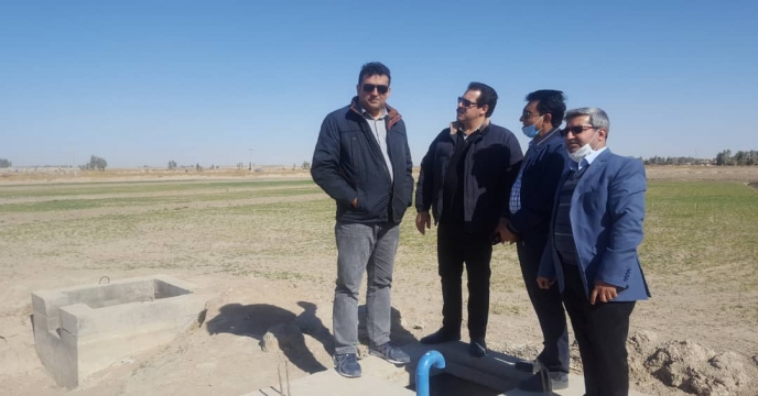 بازدید مدیر فنی و بهبود کیفیت بذر ونهال از  مزارع گندم استان سیستان و بلوچستان 