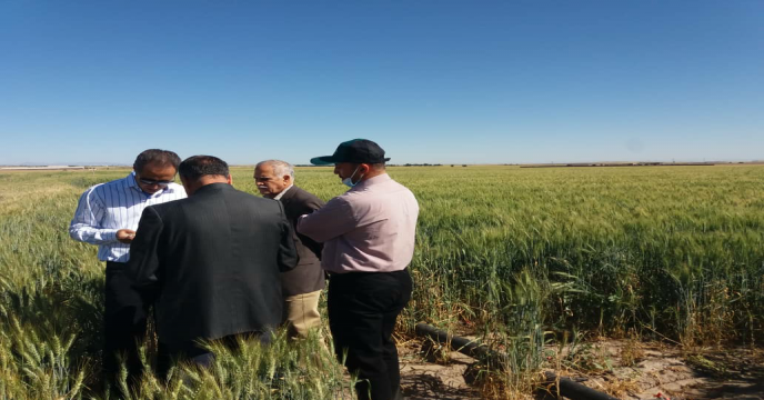بازدید از انبارهای کود کارگزاران شهرستان فریمان، استان خراسان رضوی