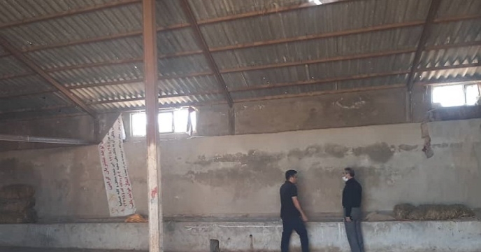 شرکت خدمات حمایتی کشاورزی استان زنجان