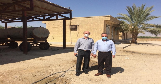 بازدید از باغ نخیلات واقع در نهالستان لاور شرقی شهرستان دشتی