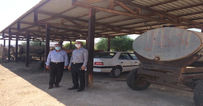 بازدید از باغ نخیلات واقع در نهالستان لاور شرقی شهرستان دشتی