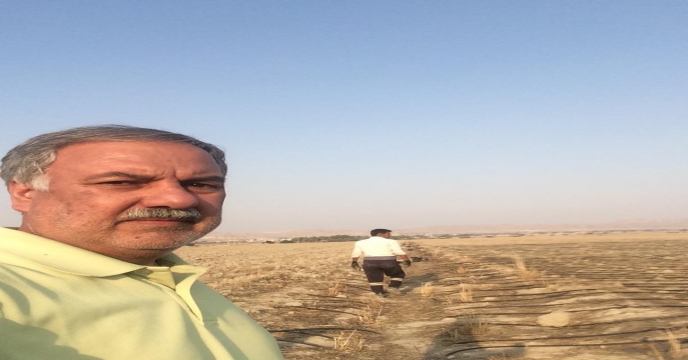 آغاز کشت گیاه دارویی سیاه دانه در دشت بوشکان واقع در شهرستان دشتستان
