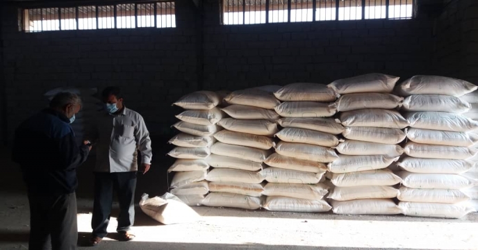 بازدید گروه پایش از تعاونی تولید رود حله جنوبی روستای کره بند شهرستان بوشهر