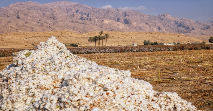 ارسال  کود اوره به مقصد کارگزاران شهرستان زرین دشت استان فارس