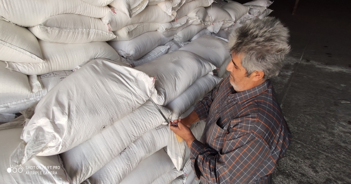 نمونه برداری از کود نیترات آمونیوم + سولفات