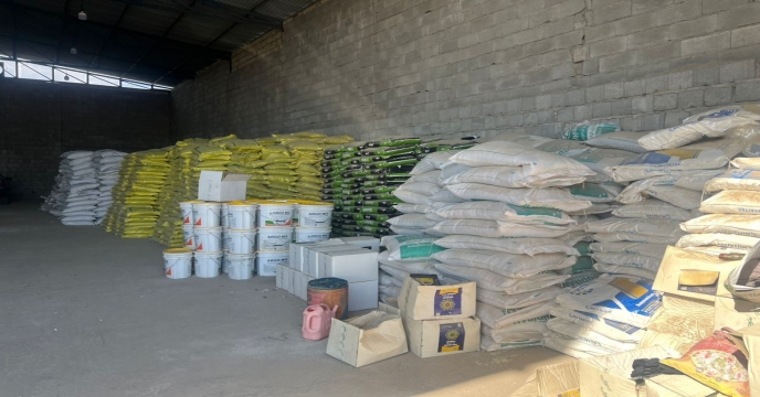 پایش میدانی