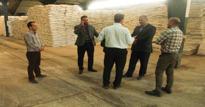 بازدید