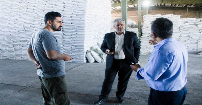 بازدید