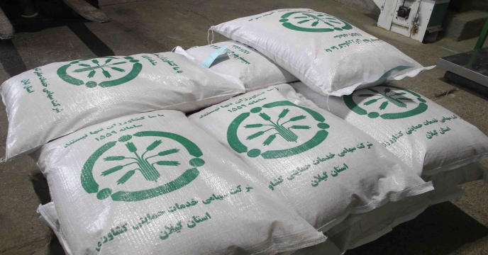 بوجاری