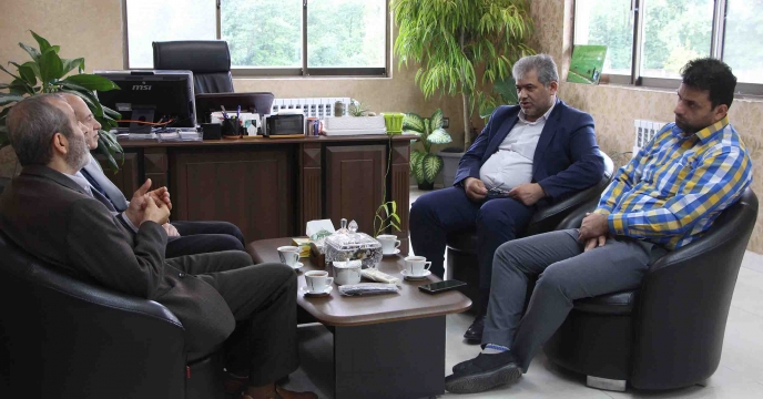دیدار