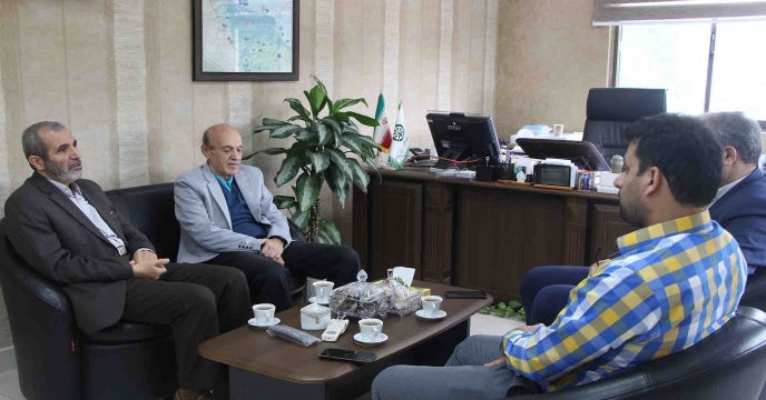 دیدار