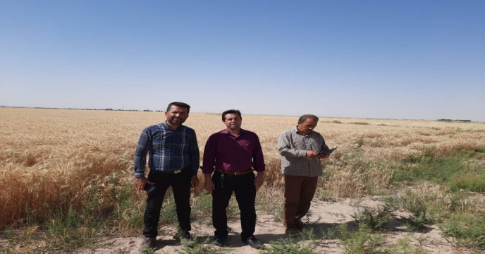 پایش فروشگاه ها و مراکز عرضه کود