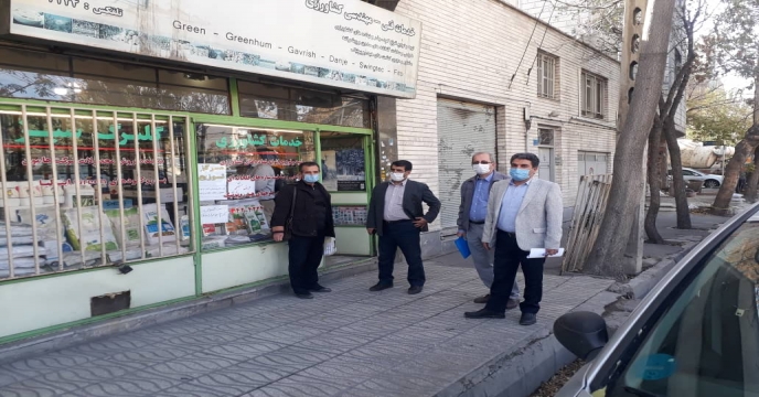 بازدید