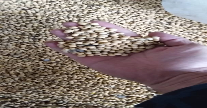 بازدید 