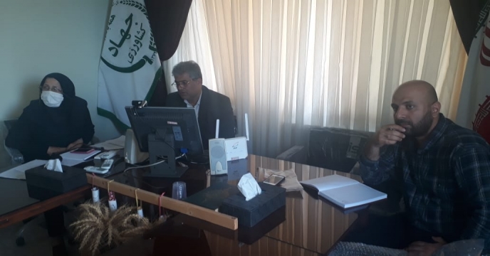 وبینار